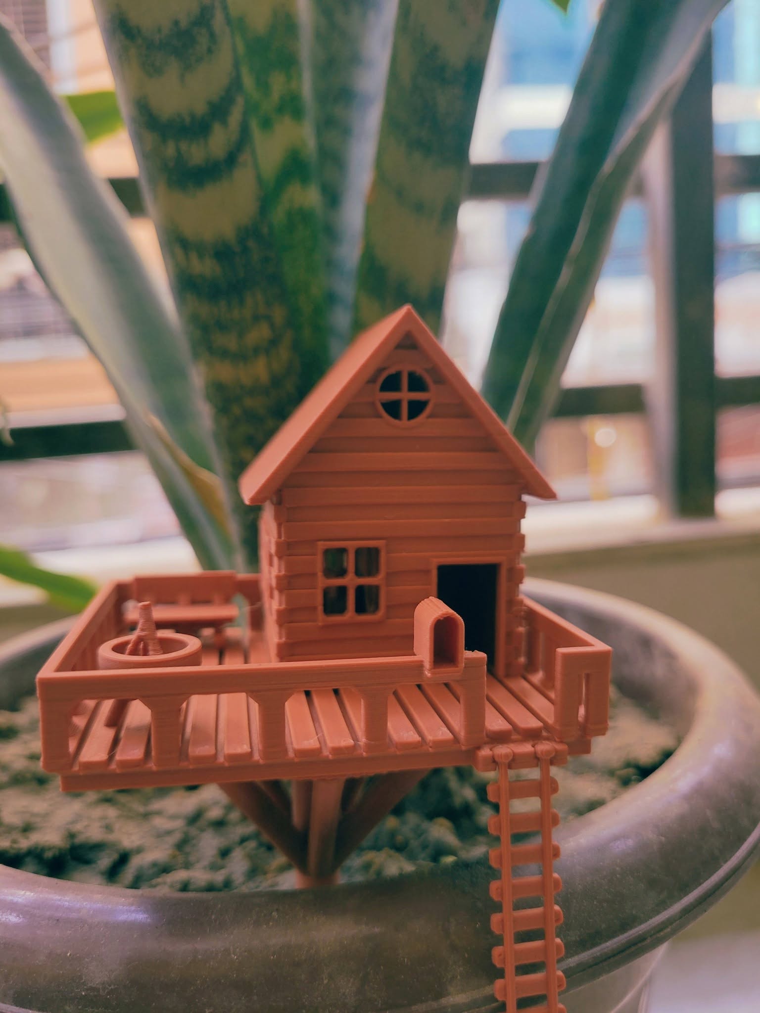 Add a magical touch to your indoor jungle